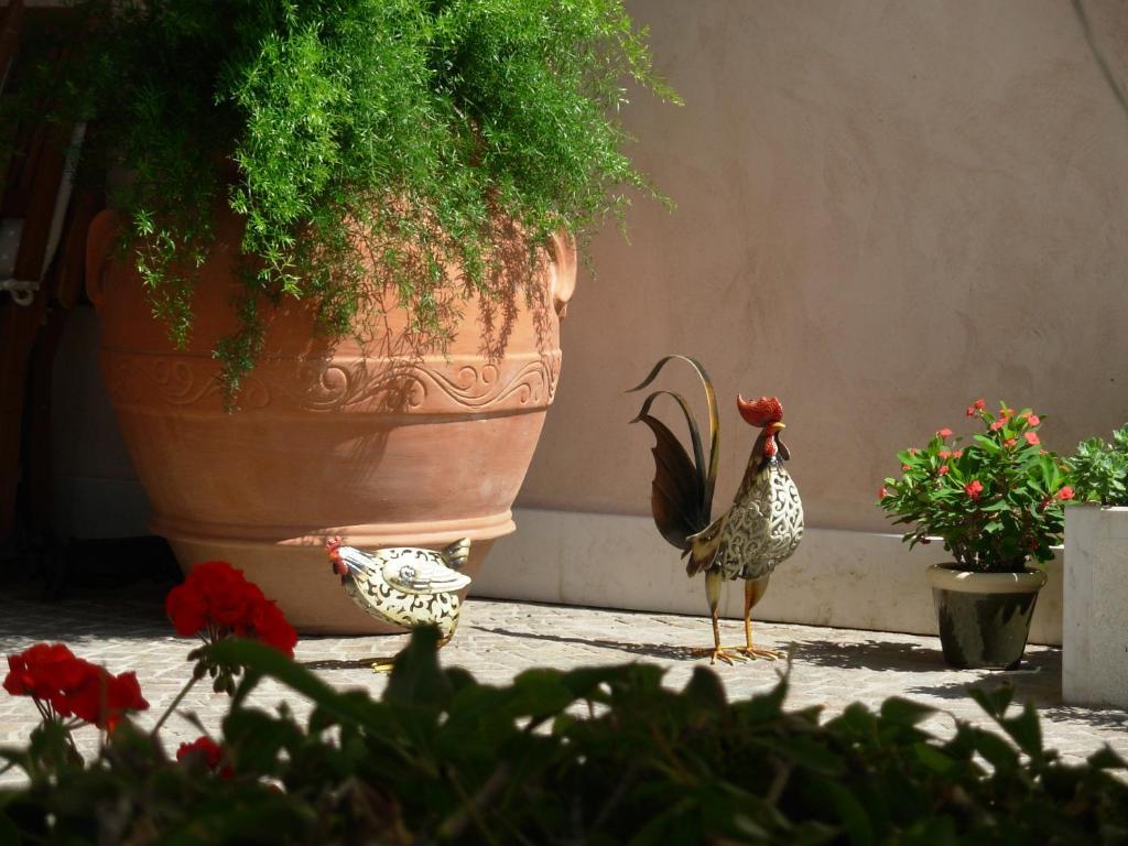 سان بيترو في كاريانو Villa Archi B&B المظهر الخارجي الصورة